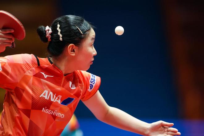 势的引领者 势的引领者